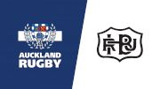 2023 Auckland vs Hawke's Bay