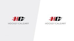 2023 CNHA Gold U15 vs NWCAA Bronks U15 AA