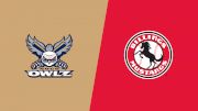 2024 Northern Colorado Owlz vs Billings Mustangs