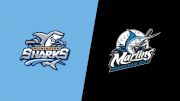 2024 Wilmington Sharks vs Morehead City Marlins