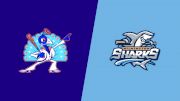 2024 Carolina Disco Turkeys vs Wilmington Sharks