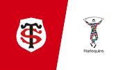 2024 Stade Toulousain vs Harlequin F.C. - Semi Finals