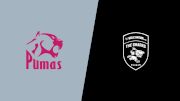 2024 Pumas vs Hollywoodbets