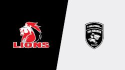 2024 Emirates Lions vs Hollywoodbets