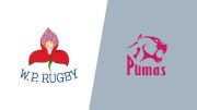 2024 Western Province vs Pumas