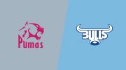 2024 Pumas vs Vodacom Blue Bulls