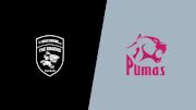 2024 Hollywoodbets vs Pumas