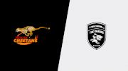 2024 Free State Cheetahs vs Hollywoodbets