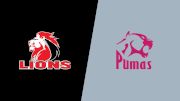 2024 Emirates Lions vs Pumas