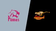 2024 Pumas vs Free State Cheetahs