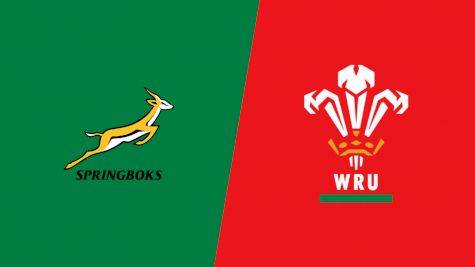 2024 South Africa vs Wales - Qatar Airways Cup