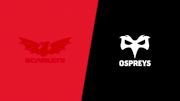 2025 Scarlets vs Ospreys Rugby