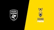 2025 Hollywoodbets Sharks vs Zebre Parma