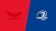 2025 Scarlets vs Leinster Rugby