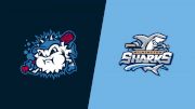 2024 Lexington County Blowfish vs Wilmington Sharks - Finals, Game #2