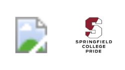 2024 Union (NY) vs Springfield College