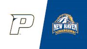 2024 Pace University vs New Haven