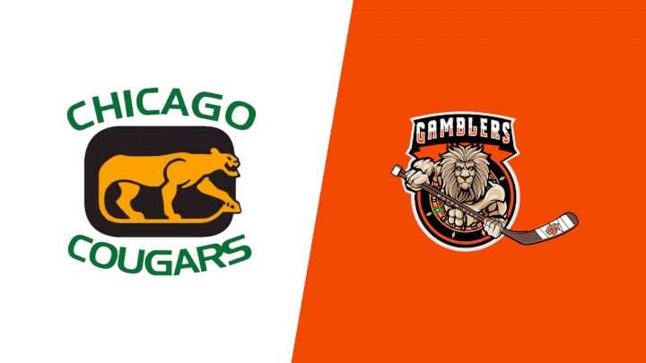 2024 Chicago Cougars vs Motor City Gamblers