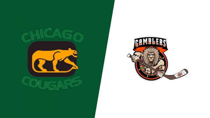 2024 Chicago Cougars vs Motor City Gamblers