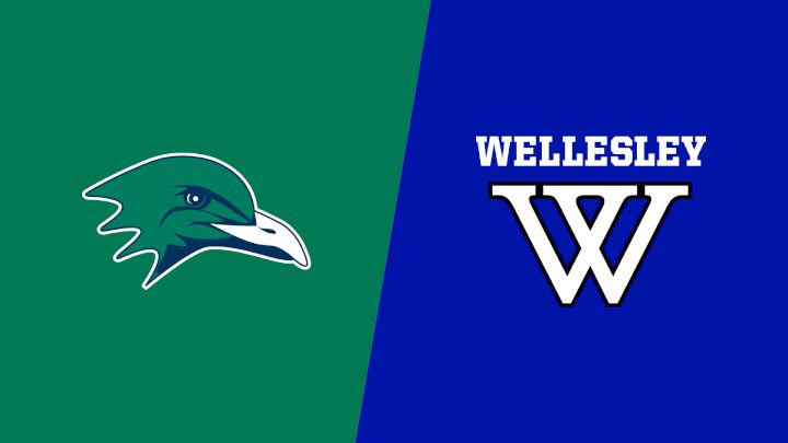 2024 Endicott College vs Wellesley College - Field Hockey