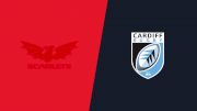 2024 Scarlets vs Cardiff