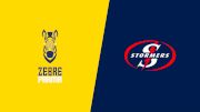 2024 Zebre Parma vs DHL Stormers