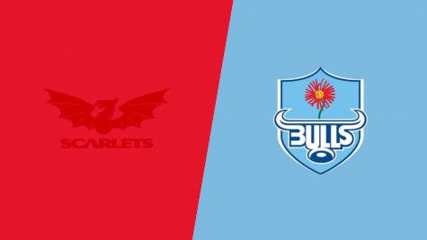 2024 Scarlets vs Vodacom Bulls