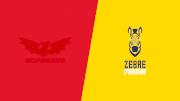 2024 Scarlets vs Zebre Parma