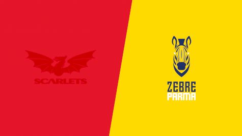 2024 Scarlets vs Zebre Parma