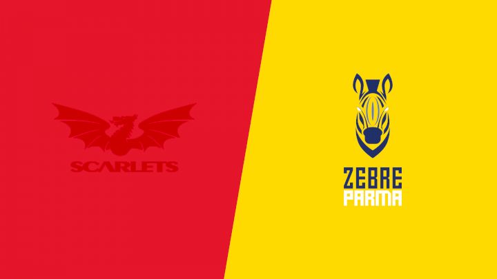 2024 Scarlets vs Zebre Parma