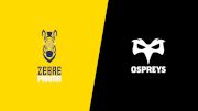 2024 Zebre Parma vs Ospreys Rugby