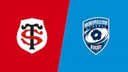 2025 Stade Toulousain vs Montpellier Herault Rugby