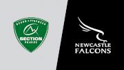 2024 Section Paloise vs Newcastle Falcons