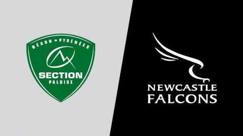 2024 Section Paloise vs Newcastle Falcons