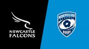2025 Newcastle Falcons vs Montpellier Herault Rugby