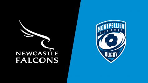 2025 Newcastle Falcons vs Montpellier Herault Rugby