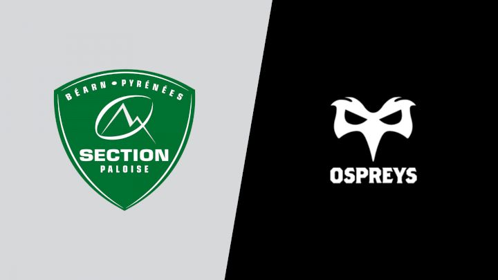 2025 Section Paloise vs Ospreys Rugby