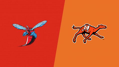 2024 Delaware State vs Campbell