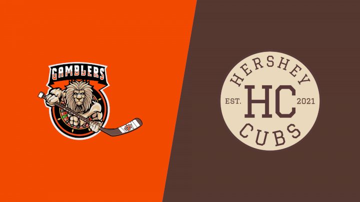 2024 Motor City Gamblers vs Hershey Cubs