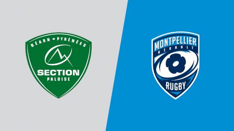 2025 Section Paloise vs Montpellier Herault Rugby