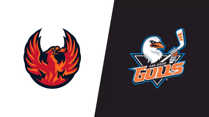2025 Coachella Valley Firebirds vs San Diego Gulls