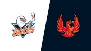 2024 San Diego Gulls vs Coachella Valley Firebirds