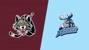 2024 Chicago Wolves vs Manitoba Moose