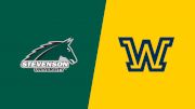 2024 Stevenson University vs Wilkes - Men's