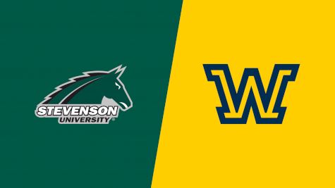 2024 Stevenson University vs Wilkes - Men's