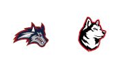 2025 Stony Brook vs Northeastern - Swimming