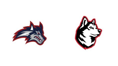 2025 Stony Brook vs Northeastern - Swimming