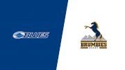 2025 Blues vs Brumbies Rugby