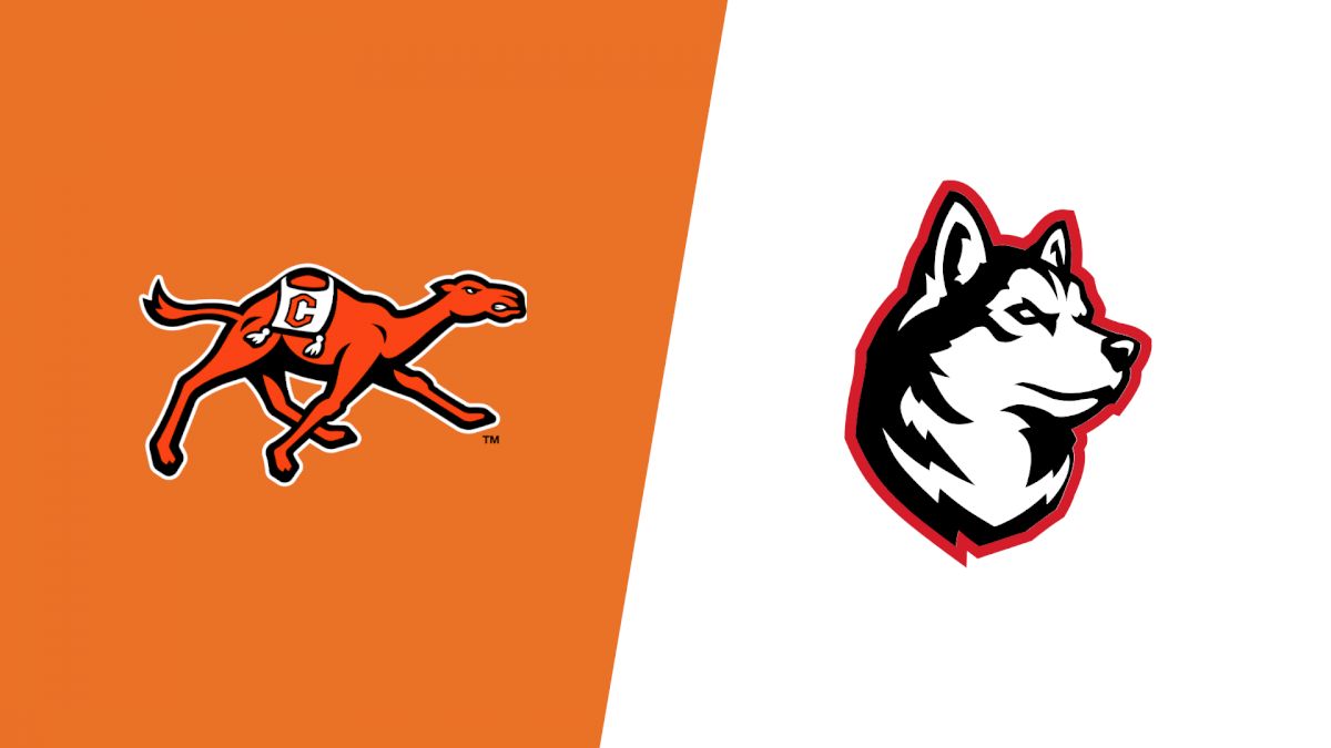 How to Watch: 2025 Campbell vs Northeastern - Men's | Basketball