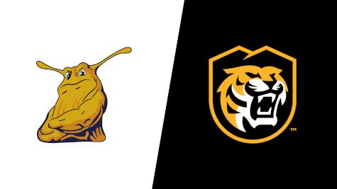 2025 UC Santa Cruz vs Colorado College - Men's